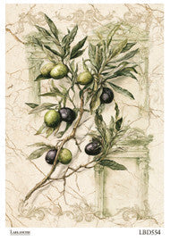 Lablanche Olive Kit 2026