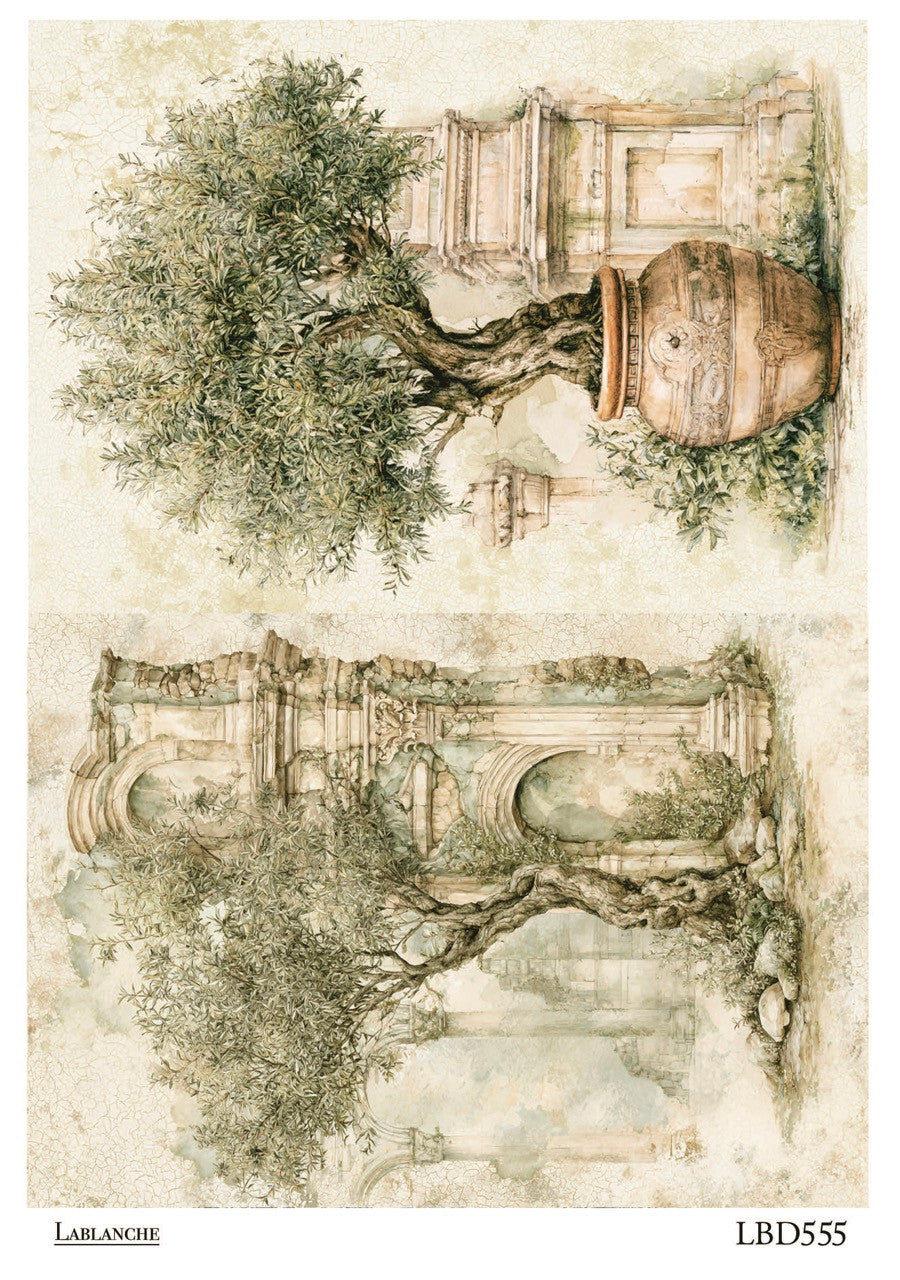 LaBlanche Olive Tree Ruins A4 Rice Paper