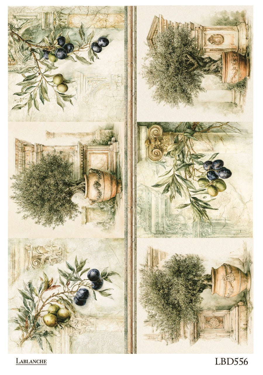 LaBlanche Olive Grove Collage A4 Rice Paper