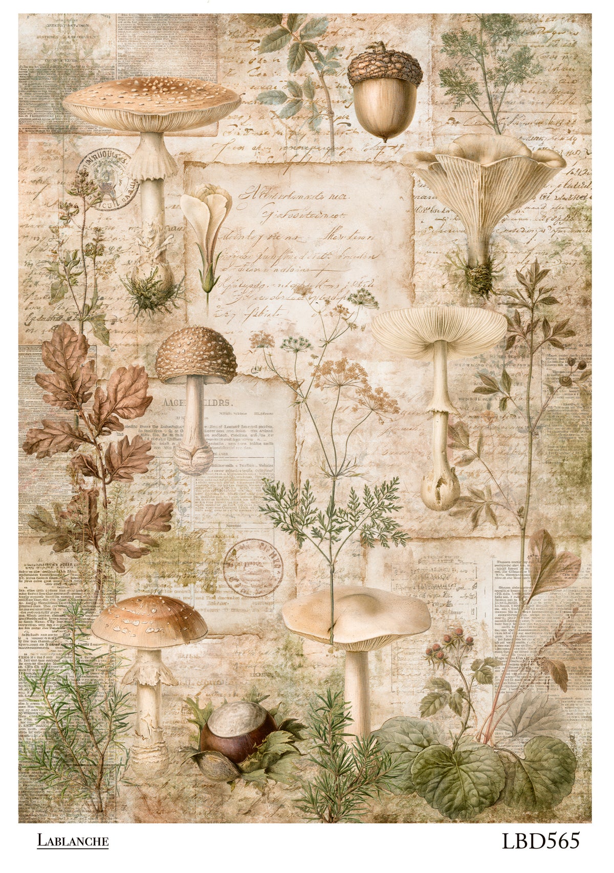 Lablanche Botanical Fall Rice Paper Set