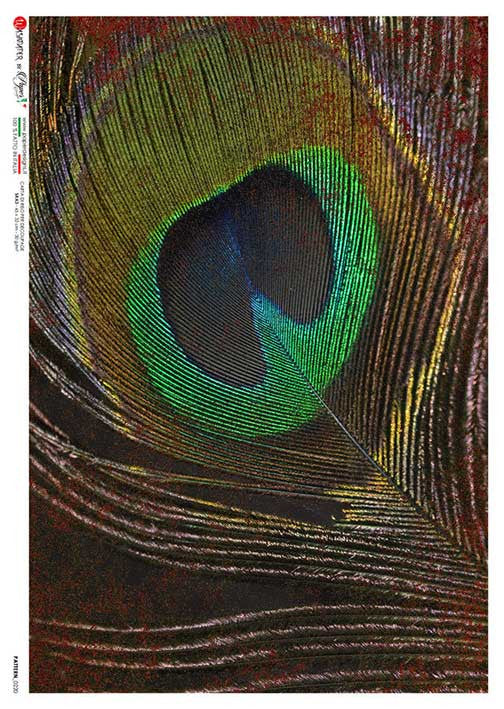 Paper Designs Large Peacock Feather