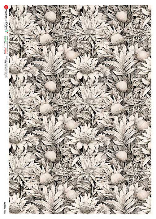 Paper Designs Black and White Daisies Rice Paper