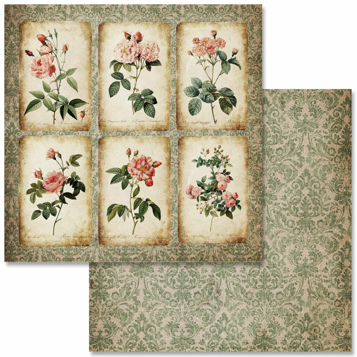 Antique Roses Scrapbook Set