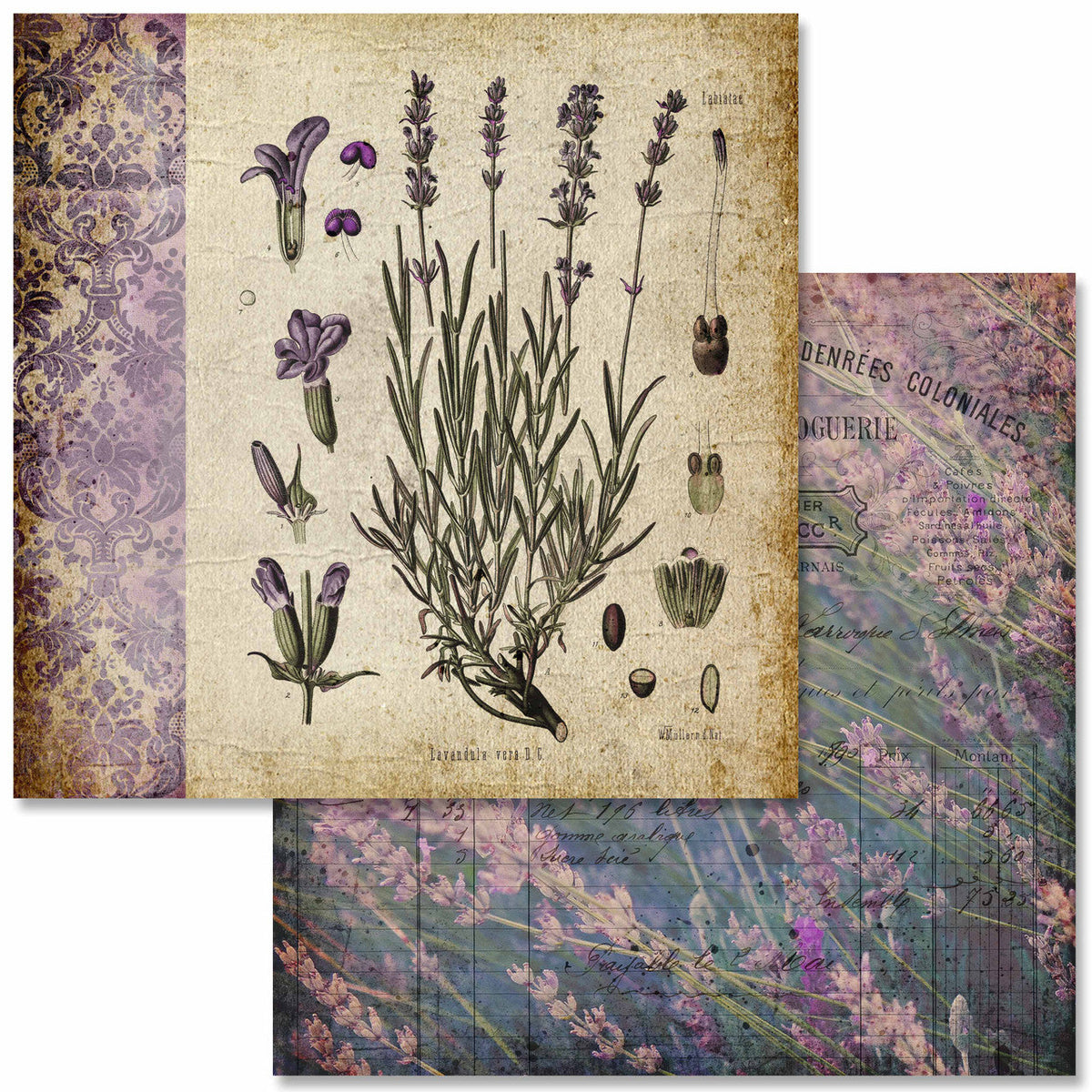 Vintage Lavender Scrapbook Set