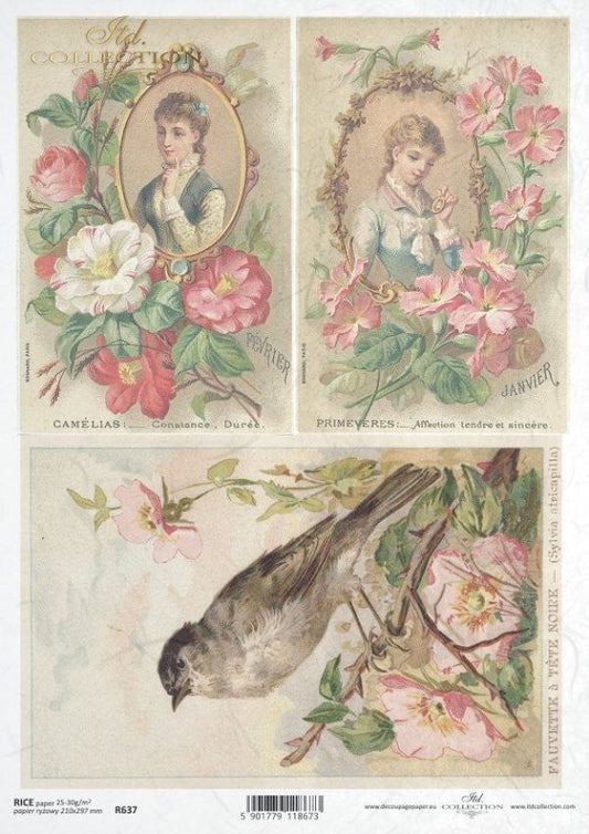 ITD Rice Paper Vintage Spring Portraits A4