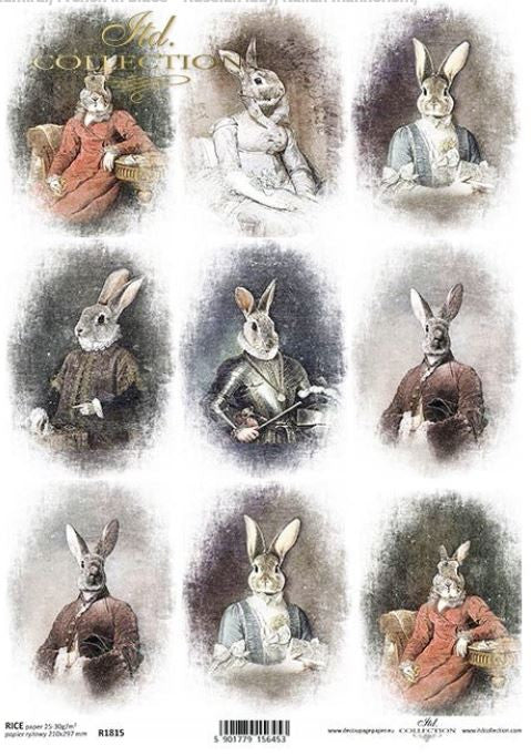 ITD Collection Bunny Portraits III