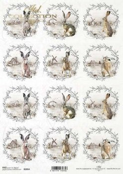 ITD Collection Wild Hare Portraits