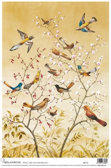Calambour Golden Birds A3 Rice Paper