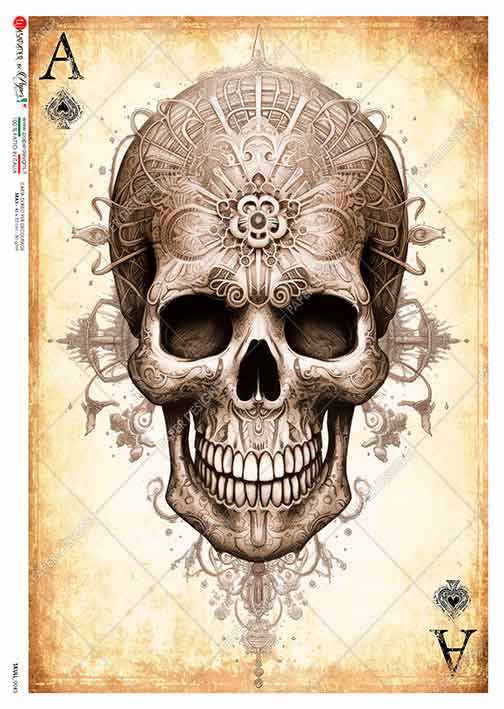 Paper Designs Ace Skull