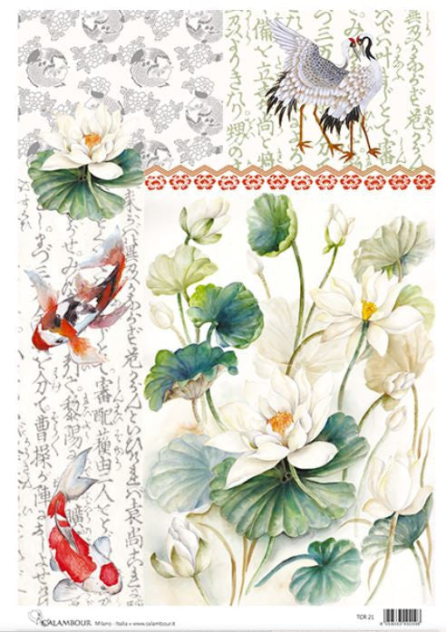 Calambour Japanese Flowers