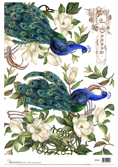 Calambour Blue Peacock TCR 33- A3 PLUS