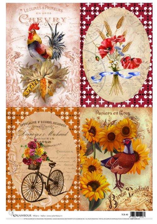 Calambour French Country TCR 40 A3