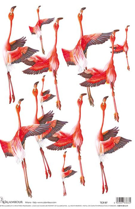 Calambour Flying Pink Flamingos A3 Rice paper