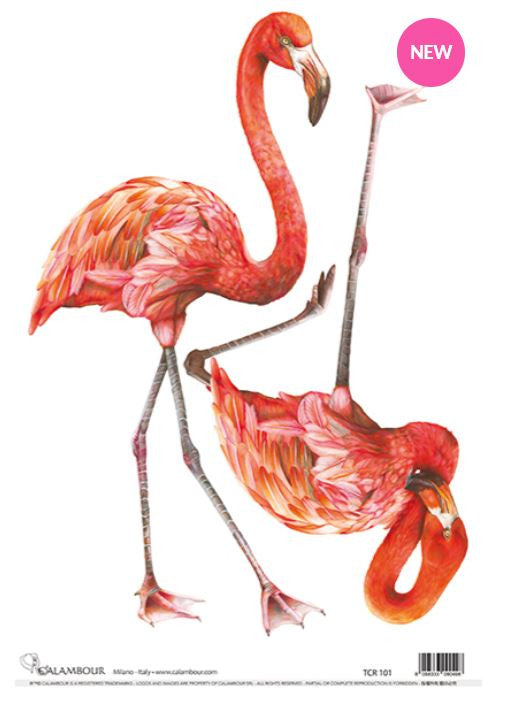 Calambour Two Flamingo TCR 101 A3