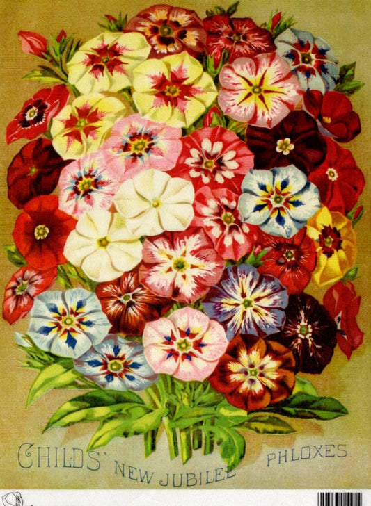 Calambour Child's New Jubilee Phloxes A4 Rice Paper