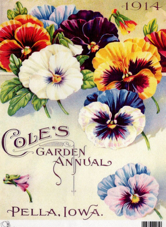 Calambour Cole's Garden Annual Panses 1914 A4 Rice Paper