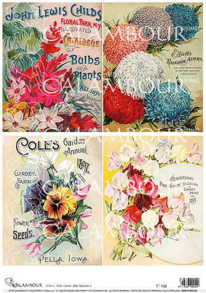 Calambour Asters Sweet Peas and Pansies A4 Rice Paper