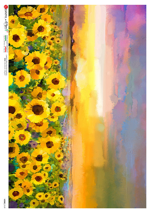 Paper Designs Views 0169