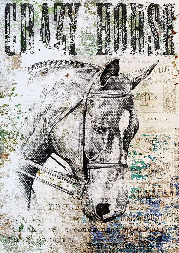 Paper Designs Crazy Horse