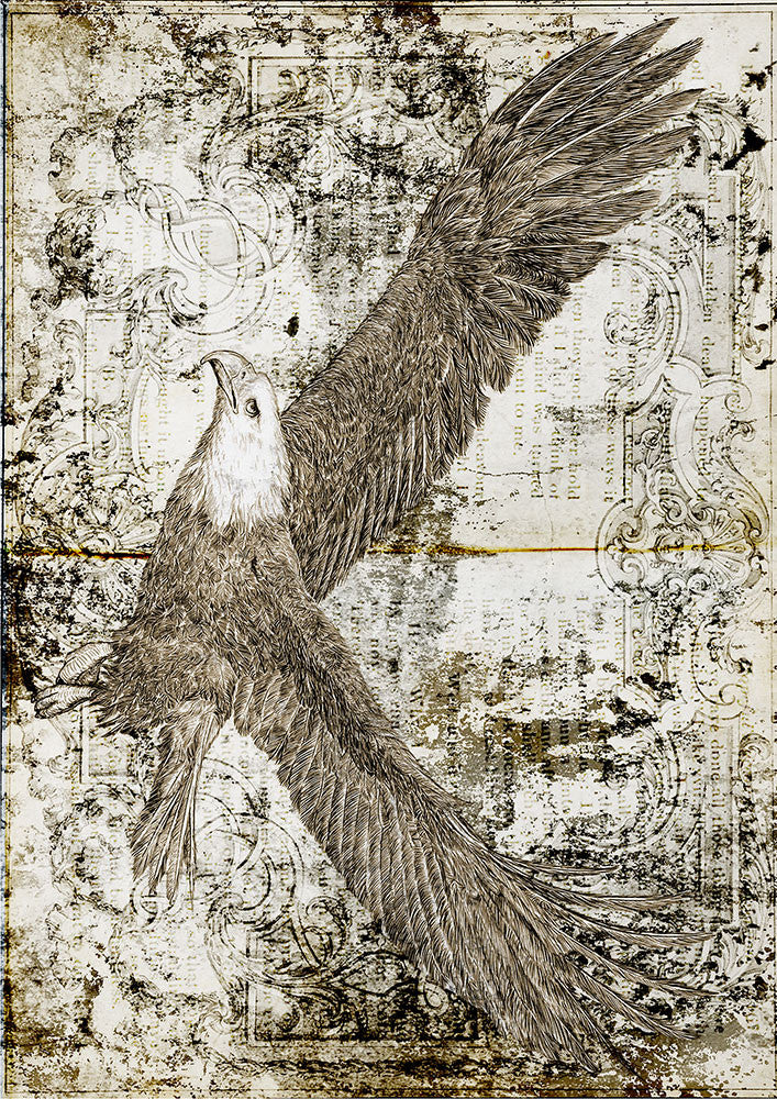 Paper Designs Freedom Eagle