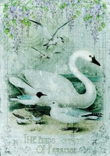Paper Designs Swan of Paradise