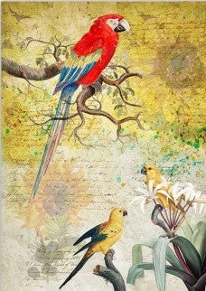 Paper Designs Tropical Birds