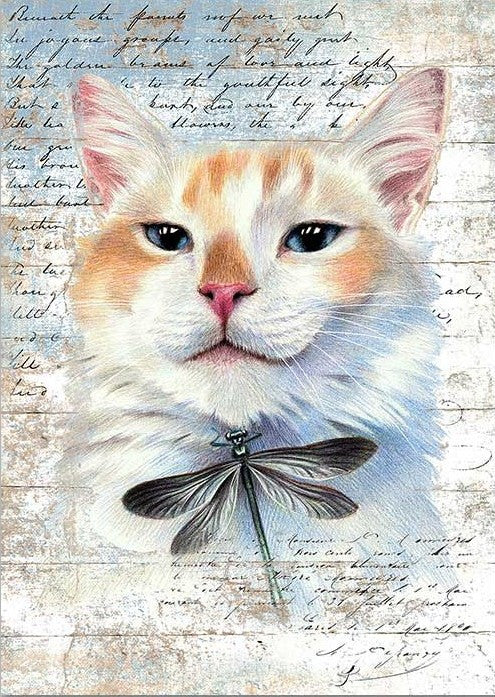 Paper Designs Cat with Dragonfly