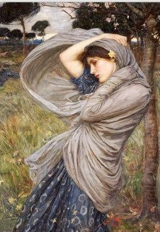 Paper Design Boreas by John William
