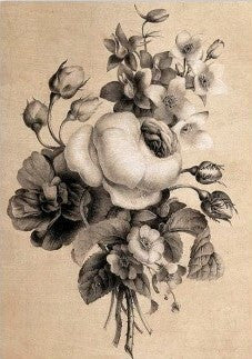 Paper Designs Illustrated Bouquet