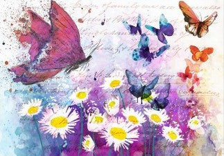 Paper Designs Daisies and Butterflies I