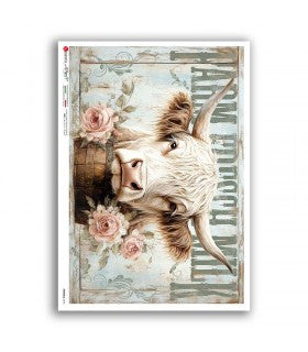 White Cow with Roses