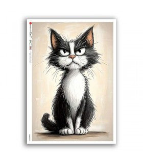 Grumpy Whiskers