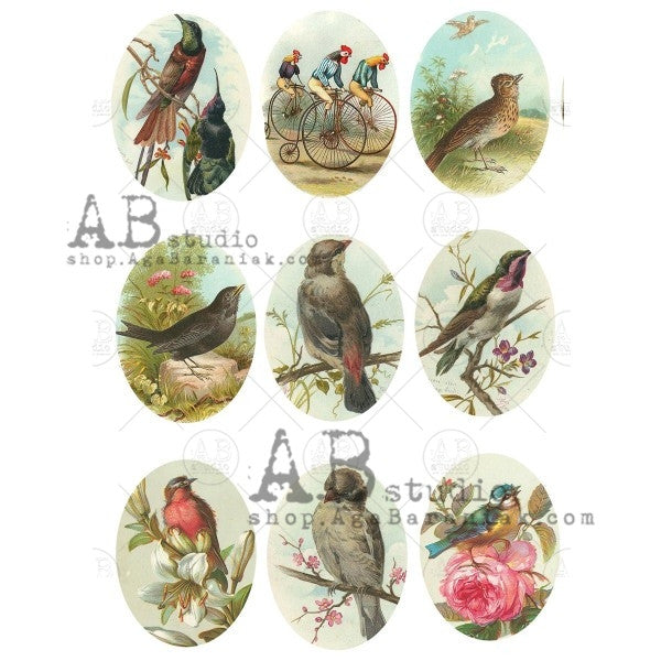 AB Studios Rice Paper A4 Bird Cameos