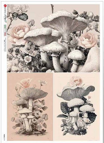 Mushrooms & Roses