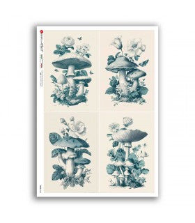 Botanical Mushrooms