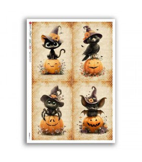 Pumpkin Pals