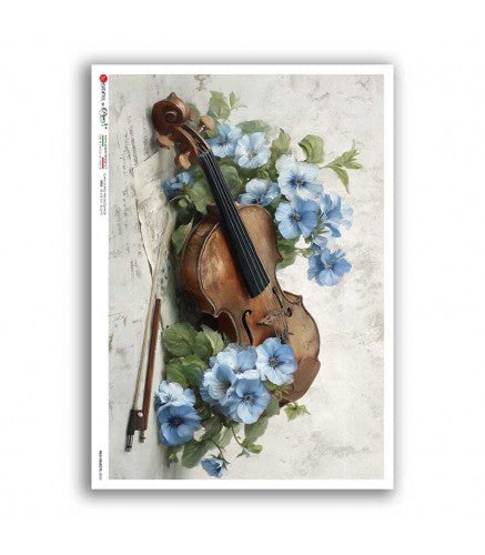 Melody in Bloom