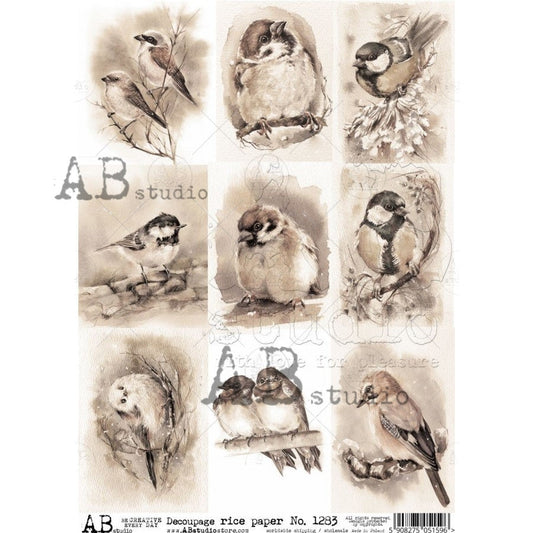 AB Studios 9 Pack Sepia Birds A4 Rice paper